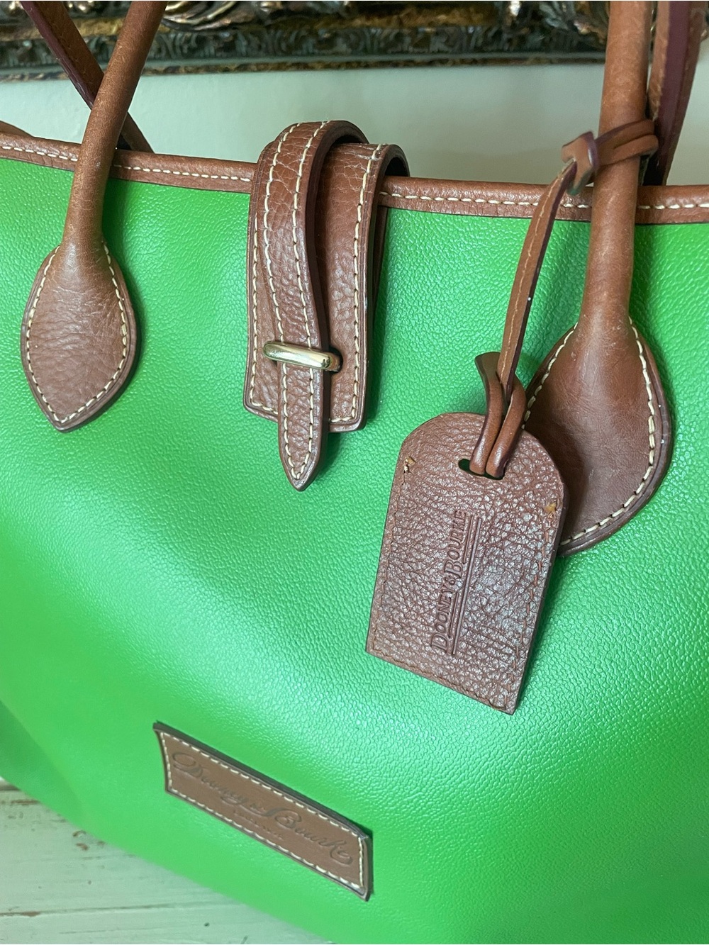 Dooney & Bourke Eva BaileyBright Green Tote with Brown Trim - Picture 3 of 16
